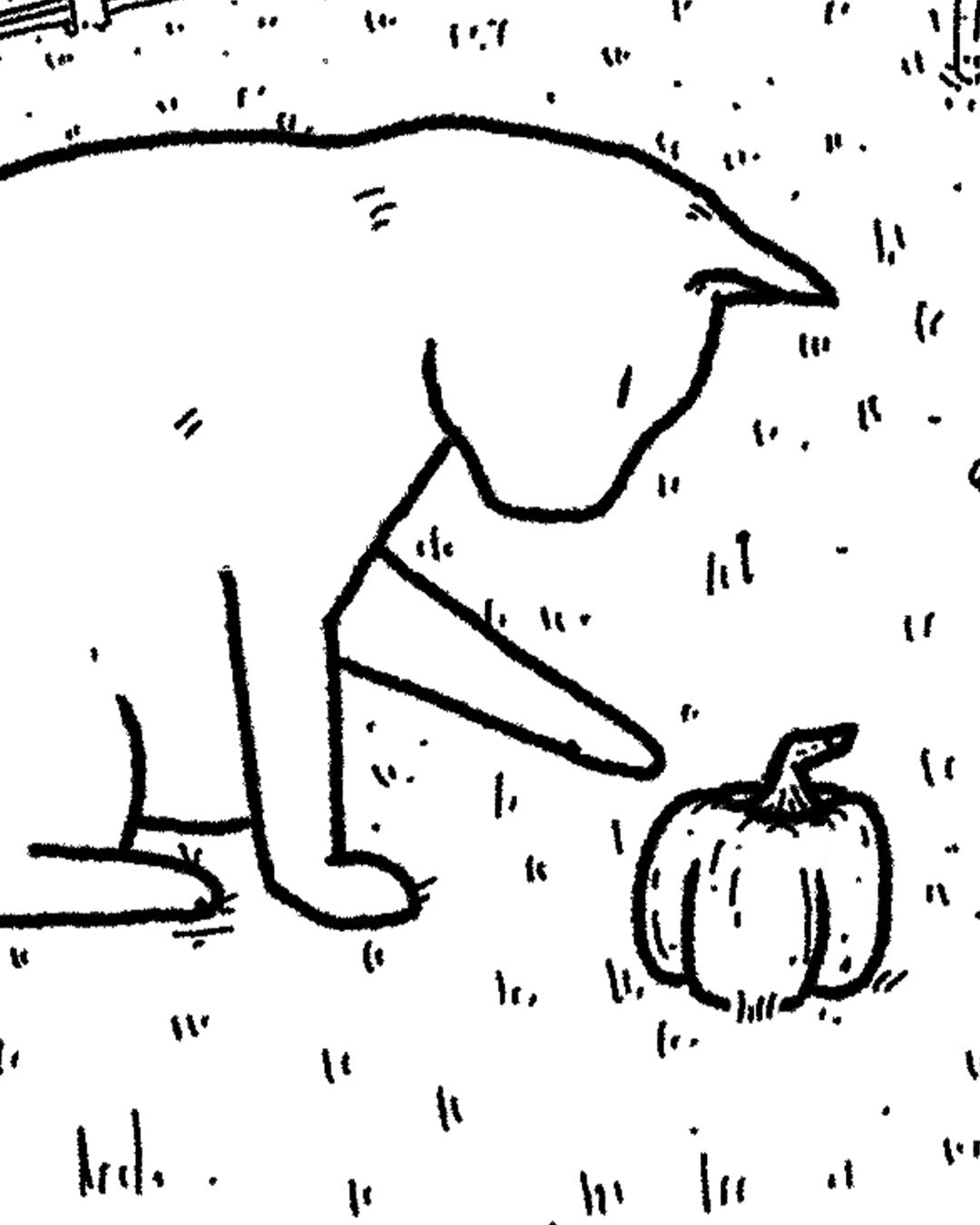 Pumpkin Cat