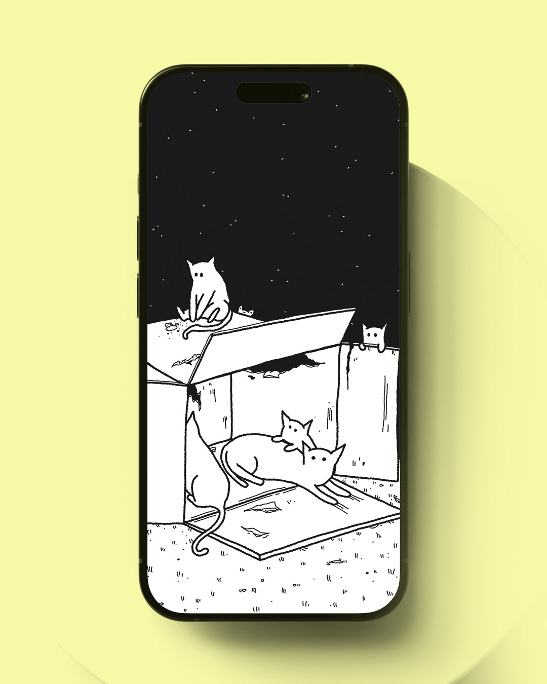 Cats in a Box - Wallpaper Bundle