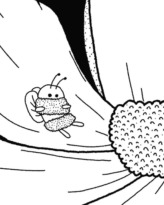Little Bee Nap