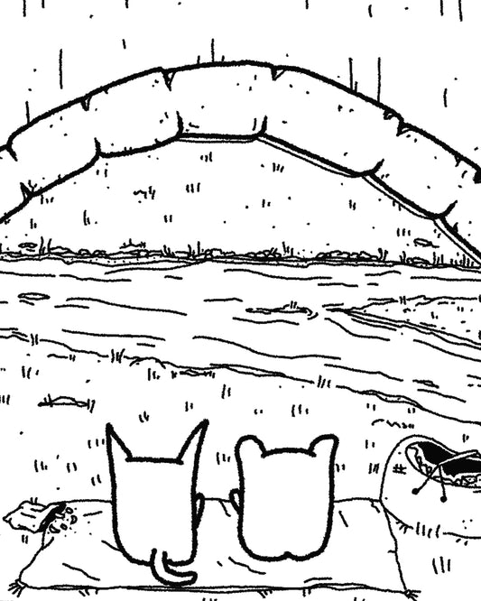 Picnic Under the Bridge