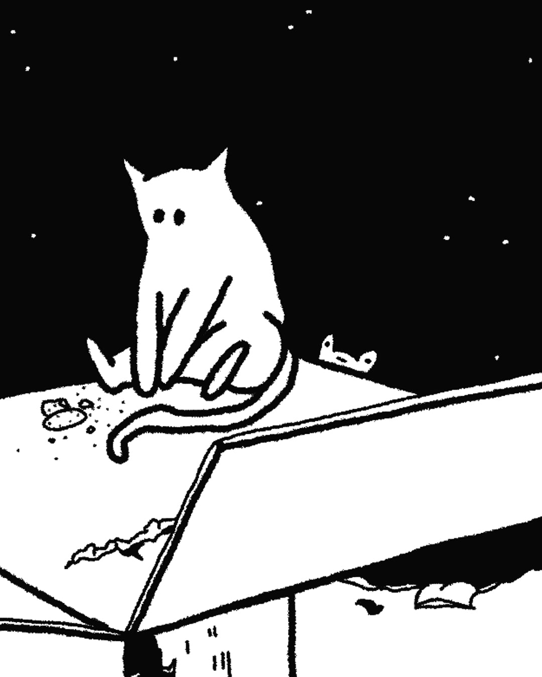 Cats in a Box