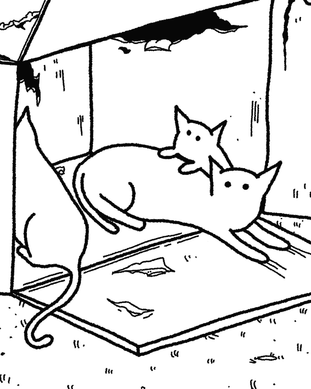Cats in a Box