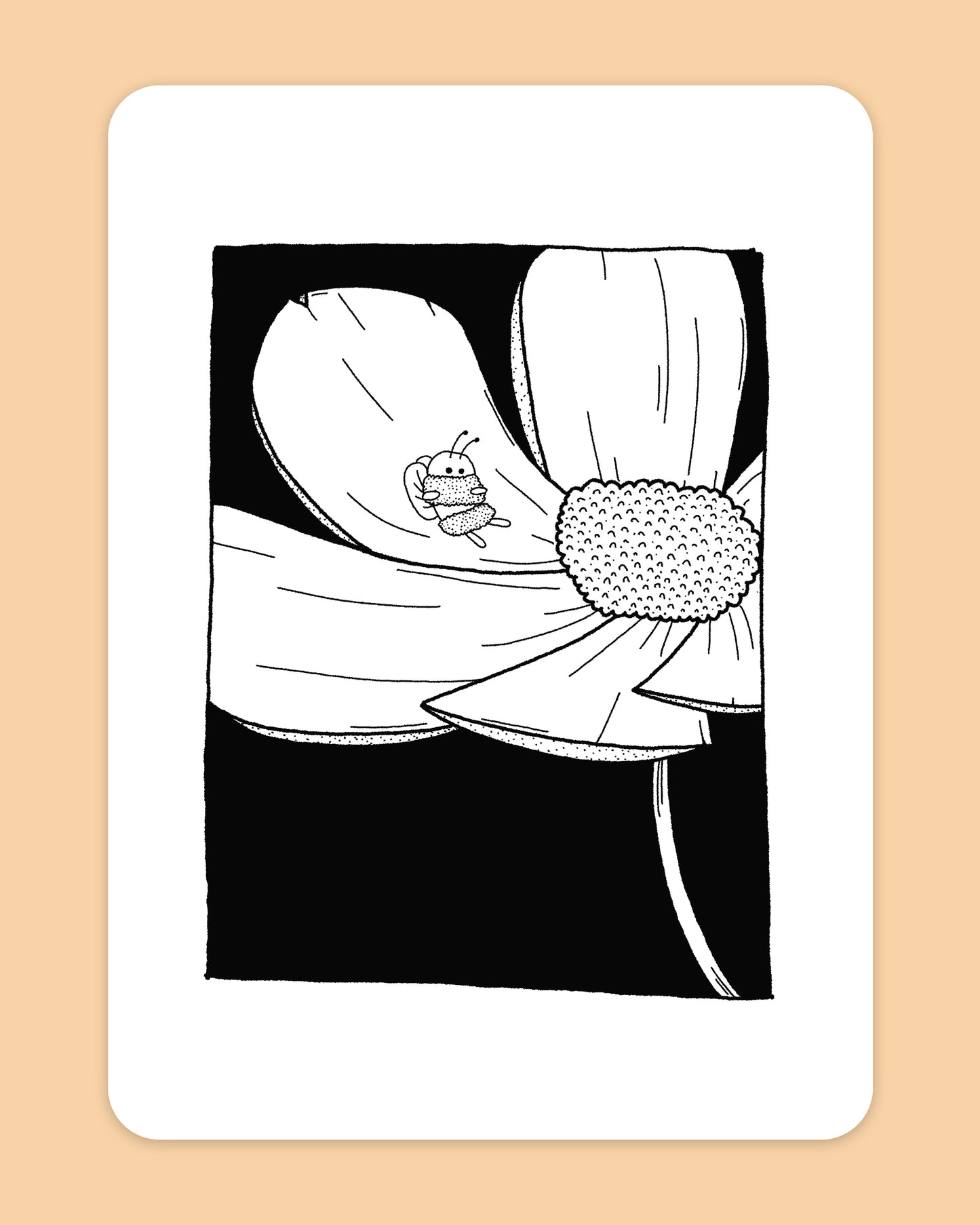 Little Bee Nap