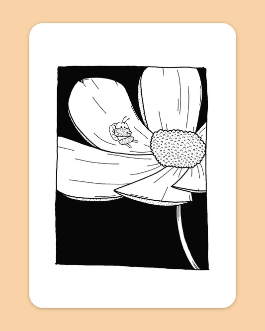 Little Bee Nap