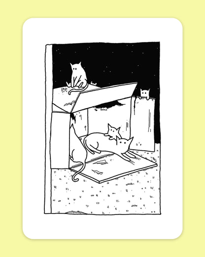 Cats in a Box