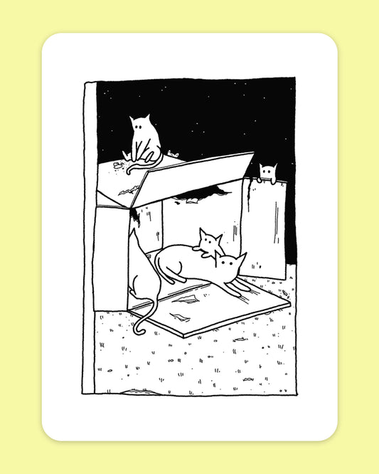 Cats in a Box